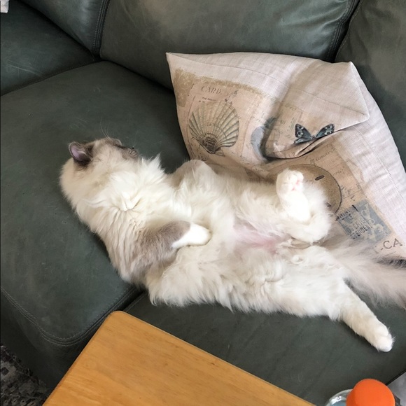 REBRANDING!! - Picture 9 of 13